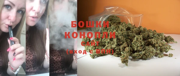 ECSTASY Дмитриев