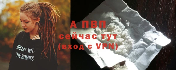 ECSTASY Дмитриев